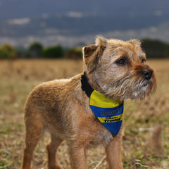 Reading 1992 Away Shirt - Personalised Pet Bandana - 4 Sizes
