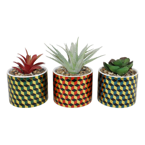 Set of 3 Succulents In Ceramic Pots With A Cubic Design