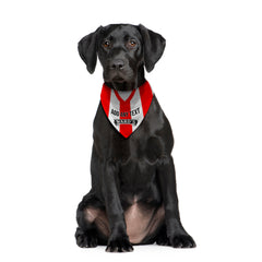 Sheffield United 1996 Home Shirt - Personalised Pet Bandana - 4 Sizes