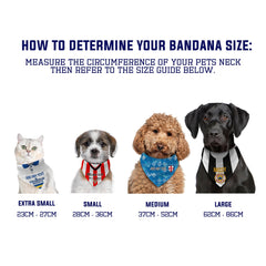 Soton 1987 Away Shirt - Personalised Pet Bandana - 4 Sizes
