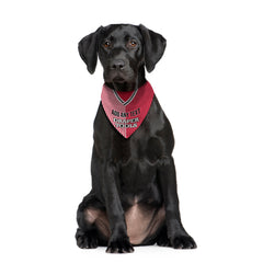 Soton 1987 Home Shirt - Personalised Pet Bandana - 4 Sizes