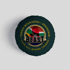 South AFRICA Rugby Union Beast  - Legend Collection - Circle Cushion 14inch