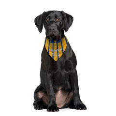 St Johnstone 1994 Away Shirt - Personalised Pet Bandana - 4 Sizes