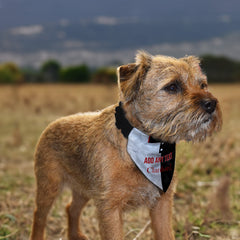 St Mirren 1994 Home Shirt - Personalised Pet Bandana - 4 Sizes