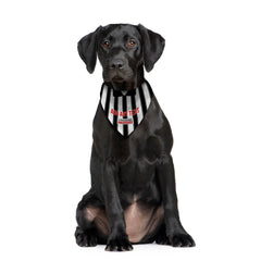 St Mirren 1995 Home Shirt - Personalised Pet Bandana - 4 Sizes