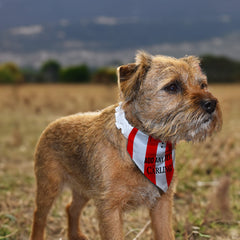 Stoke 1994 Home Shirt - Personalised Pet Bandana - 4 Sizes