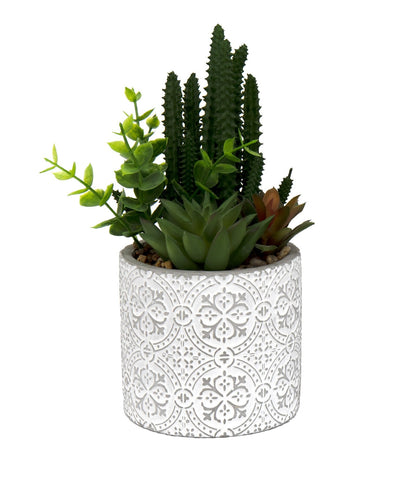 Succulents In Aztec Embossed Pot