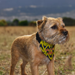 The Gooners 1992 Away Retro Shirt - Personalised Pet Bandana - 4 Sizes