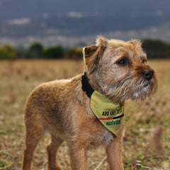 Watford 1986 Home Retro Shirt - Personalised Pet Bandana - 4 Sizes
