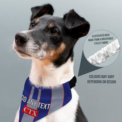 Watford 1998 Away Retro Shirt - Personalised Pet Bandana - 4 Sizes
