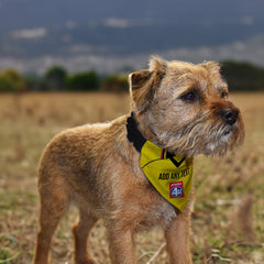 Watford 1999 Home Retro Shirt - Personalised Pet Bandana - 4 Sizes