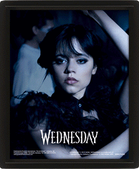 Wednesday Goo Goo Muck Framed 3D Picture