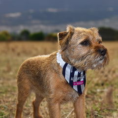West Bromwich 2007 Home Shirt - Personalised Pet Bandana - 4 Sizes