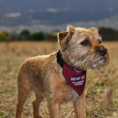 West Ham 1994 Home Shirt - Personalised Pet Bandana - 4 Sizes