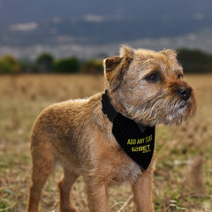 Wigan 2013 Away Shirt - Personalised Pet Bandana - 4 Sizes
