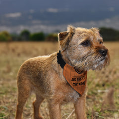 Wolves 1982 Home Shirt - Personalised Pet Bandana - 4 Sizes