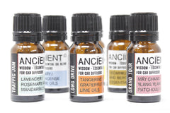 10ml Aromatherapy Car Blend - Focus & Drive