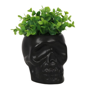 Black Skull Plant Pot