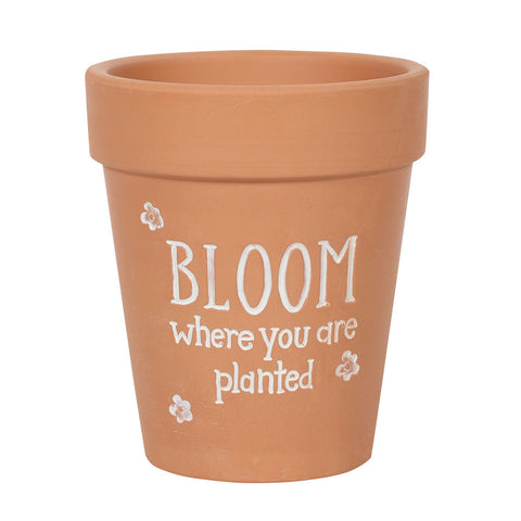 Bloom Where You Are Planted Terracotta Plant Pot