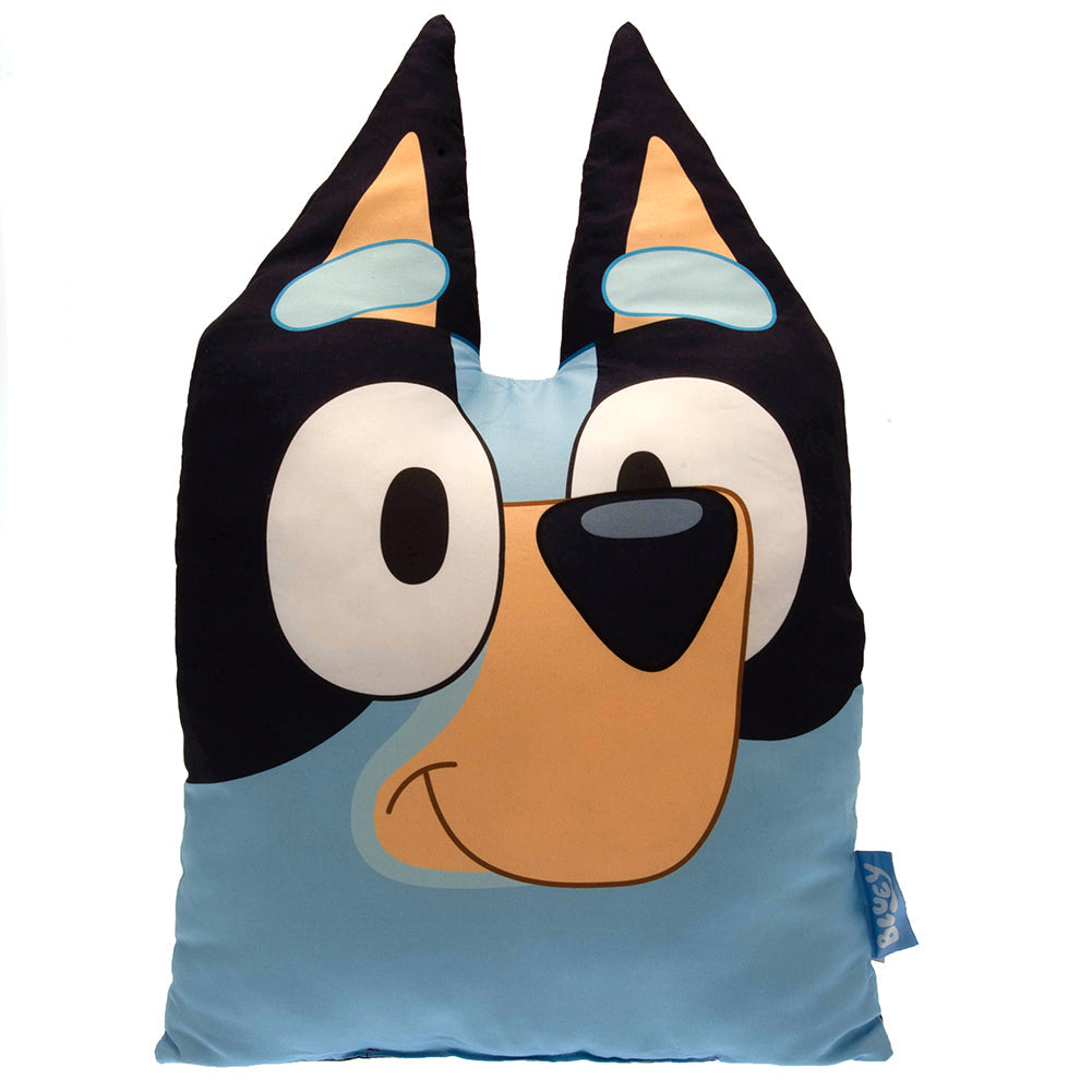 Bluey Cushion