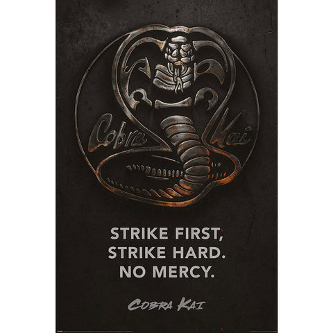 Cobra Kai Poster Metal 205  - Official Merchandise Gifts