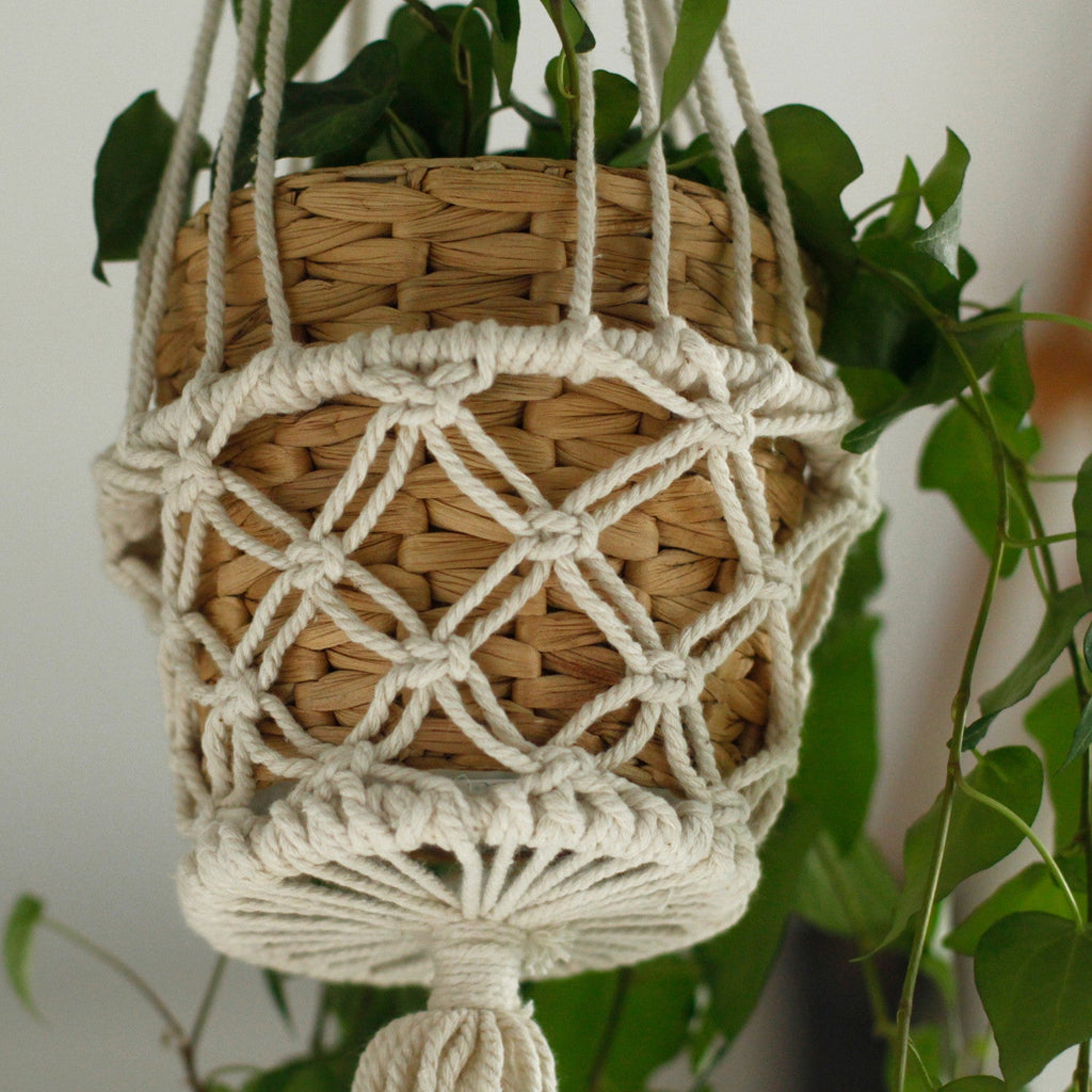 Macrame Pot Holder - Single Small pot - Rope White - NEW - 75x7 (cm)