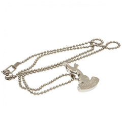 Tottenham Hotspur FC Stainless Steel Pendant & Chain  - Official Merchandise Gifts