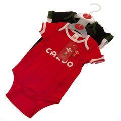 Wales RU 2 Pack Bodysuit 6-9 Mths PC  - Official Merchandise Gifts